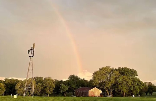 Seguin House | The Barn in Seguin - Sleeps 4!