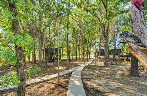 Alvord Cabin | The Barn Owl | Cozy Treehouse + Pickleball Court