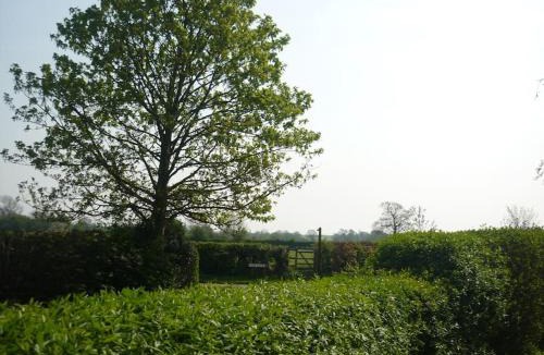 Lower Dunsforth House | The Barn, Poplar Farm