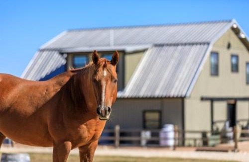 Grapetown House | The Barnhouse for 4 TimberRose Ranch FBG TX