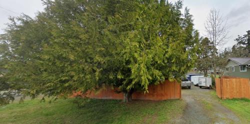 Edgewood Ski Chalet | The basics in Edgewood