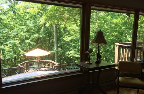 West Lafayette House | The Baumhaus (Treehouse)