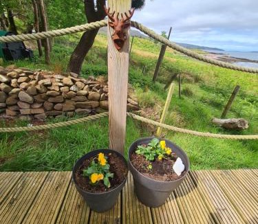 Garve House | The bay ,luxury shepherds hut,