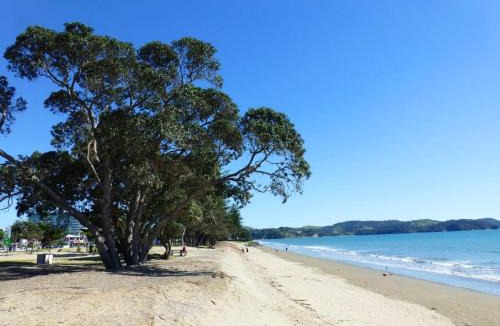 Orewa House | The Beach Pad