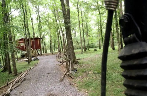 Ashville Cabin | The bearclaw is basking in a glorious spring