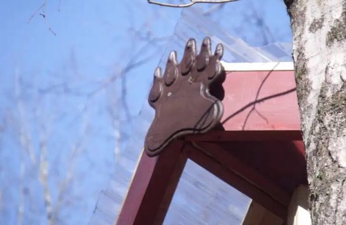 Ashville Cabin | The bearclaw is basking in a glorious spring