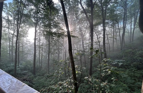 Hendersonville Cabin | The Beary Cozy Treehouse