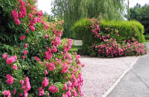 Barwell Bed & Breakfast | The Beeches Bed and Breakfast