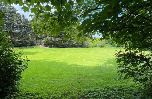 Hanham House | The Beeches