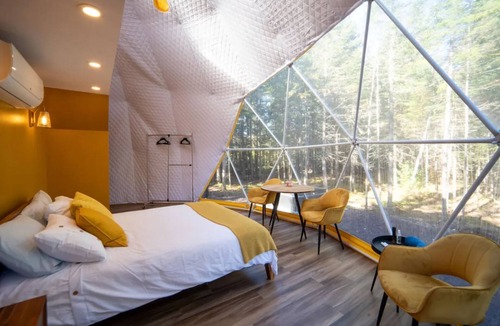 Queens County Cabin | The Bellflower