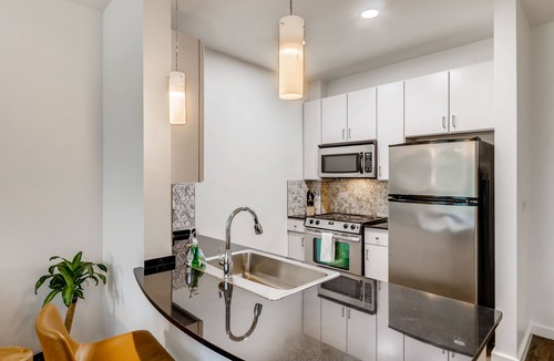 Travis Heights House | The Bindel, South Congress, Professionally Managed + Pet Friendly!