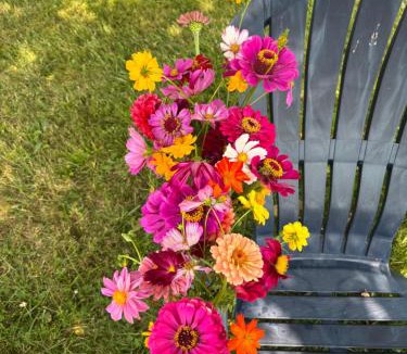 Hinesburg Hotel | the Birch & Berry Inn