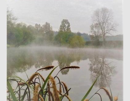 Fordingbridge Ski Chalet | The Birches Log Cabin & Hot Tub