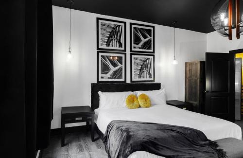 Bronzeville House | The Black And White Suite