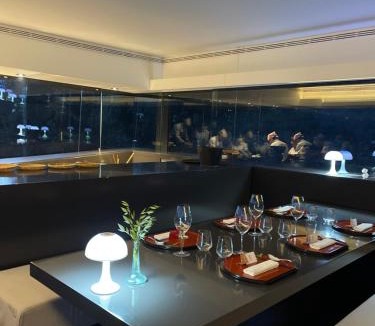 Olot Villa | the black line house