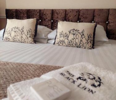 Lampeter Hotel | The Black Lion Royal Hotel