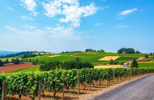 Dayton House | The Blanchard Guest Home