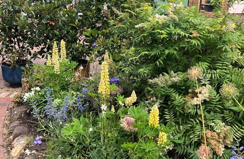 Fen Stanton Cottage | The Blue Cow Luxury 5 Star Accommodation