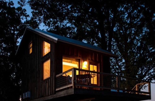 Elm Mott Cabin | The Blue Jay Treehouse in Elm Mott, TX