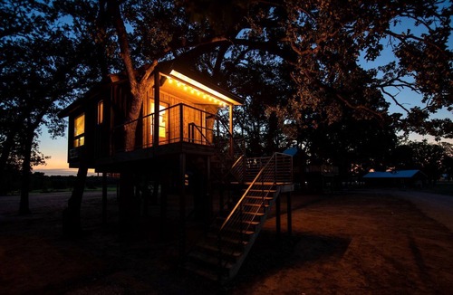 Elm Mott Cabin | The Blue Jay Treehouse in Elm Mott, TX