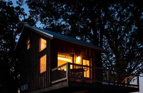 Elm Mott Cabin | The Blue Jay Treehouse in Elm Mott, TX