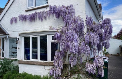 Bosham Apartment | The Blue Room