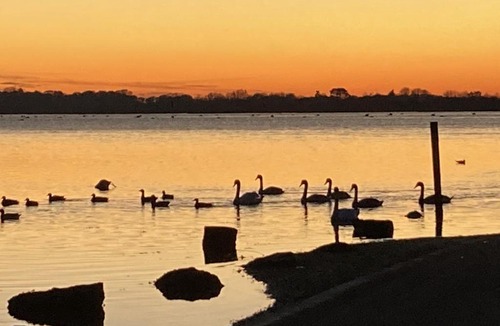 Bosham Apartment | The Blue Room