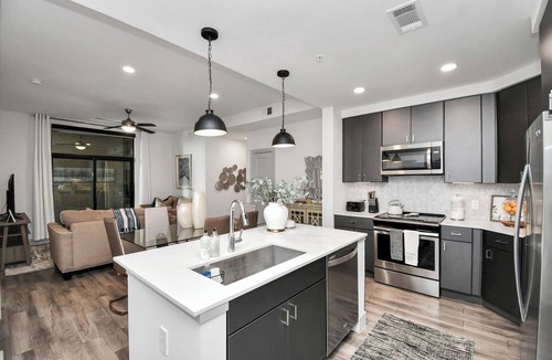 Braeswood Place Apartment | The Blues HighRise at TX Med Center with Private Parking & Pool View