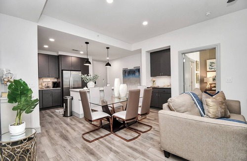 Braeswood Place Apartment | The Blues HighRise at TX Med Center with Private Parking & Pool View