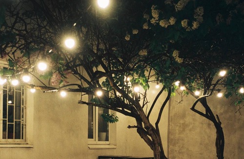 Beach Hill - Beach Flats Bed & Breakfast | The Boardwalk Beach House Bed & Breakfast