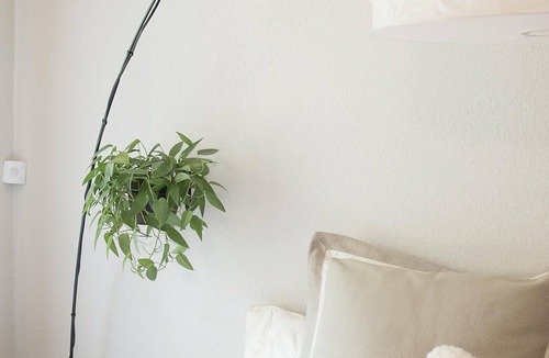 Beach Hill - Beach Flats Bed & Breakfast | The Boardwalk Beach House Bed & Breakfast