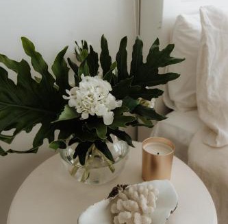 Manly House | The Boatshed Big Manly