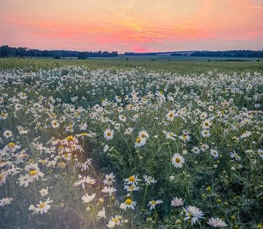 East Linton House | The Bonnie Wee Bothy