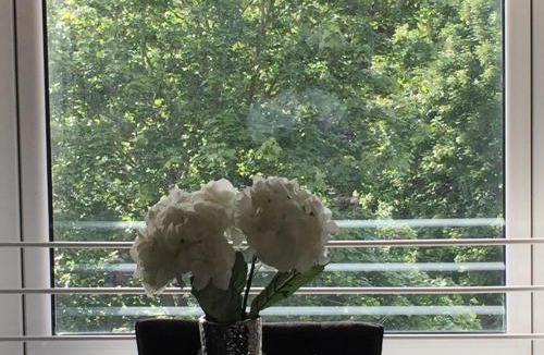 North West Apartment | The Botanic Hub West End - 2 Bedrooms