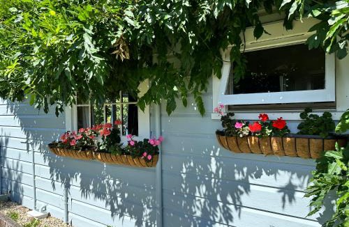 Greytown Apartment | The Brambles