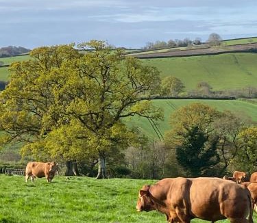 Sticklepath Apartment | The Brick Barn, Drewsteignton