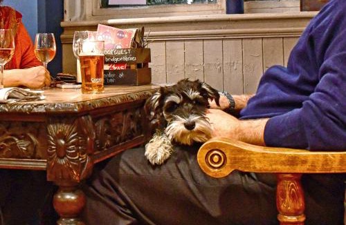 Barnes Hotel | The Bridge Pub & Rooms