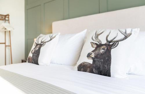 Ventnor Hotel | The Buddle Inn