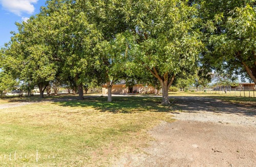 Abilene House | The Buffalo Gap Bungalow-Pet-Friendly! Cozy remodeled home surrounded by trees.
