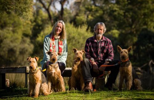 Dixons Creek Villa | The Burrow at Wombat Bend