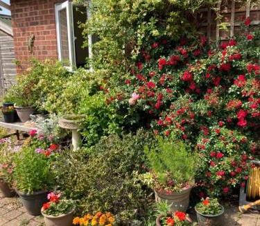 Brundall House | The Buttery