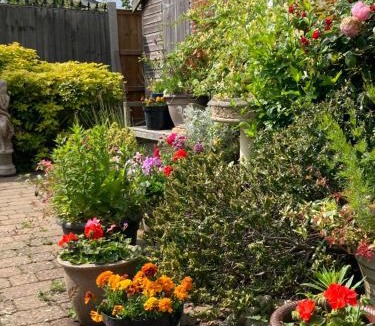 Brundall House | The Buttery