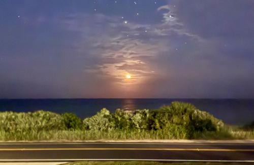 Flagler Beach House | The C House