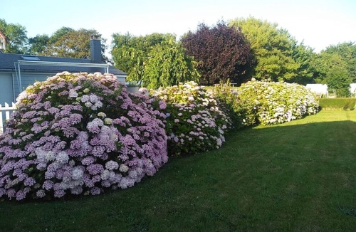 Saint-Aubin-sur-Mer House | The Cabane aux Hortensias - Saint-Aubin-sur-Mer