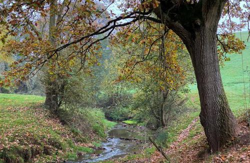 Rock Other | the cabin@ abberley glamping