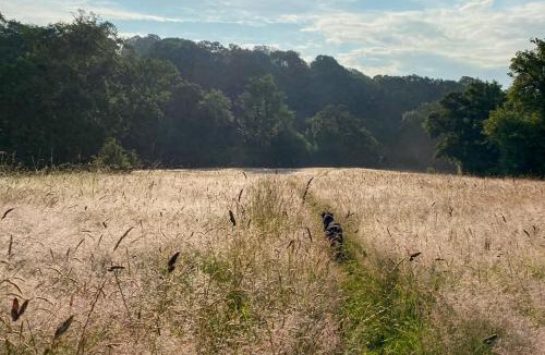 Rock Other | the cabin@ abberley glamping