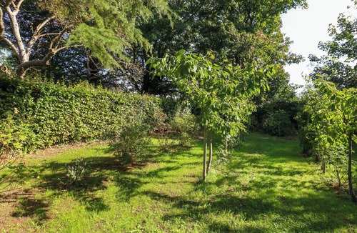 New Forest District Cottage | The Cabin at Little Timbers