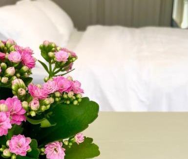 Exeter Apartment | The Cabin at Number 12