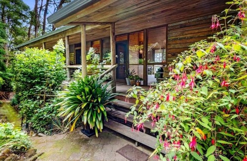 Mount Wilson House | The Cabin, Mt Wilson
