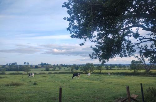 Kelmarsh House | The Calf House